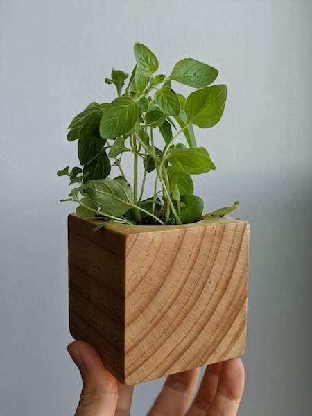 /Uploads/Public/Urban Garden Kits - sprig box.jpg